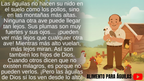 El águila que encontró su hogar (Ebook)