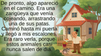 La valiente mamá zarigüeya (Ebook)