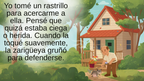 La valiente mamá zarigüeya (Ebook)